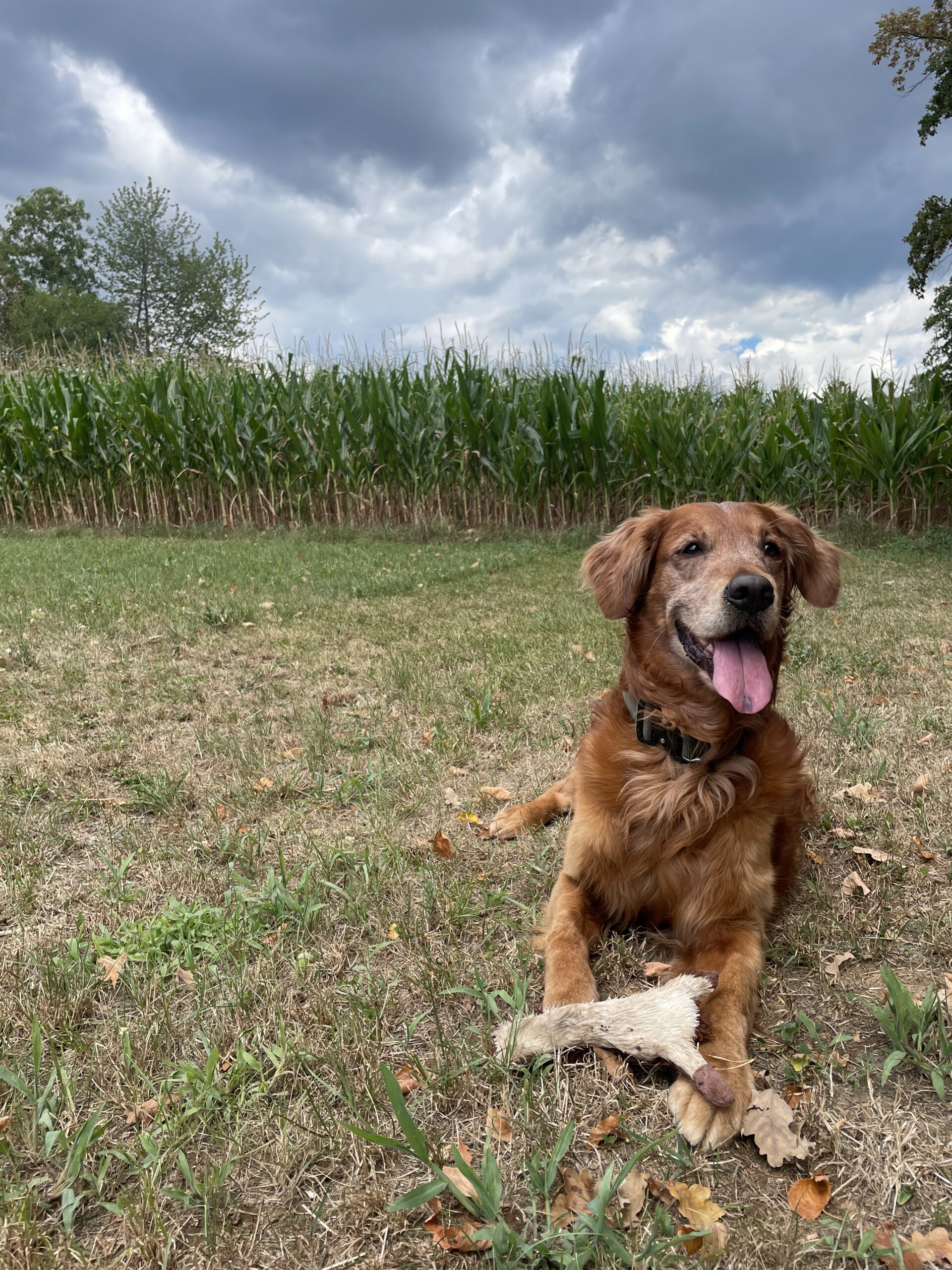 Mali